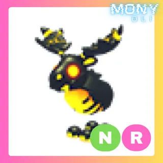 NR MAGMA MOOSE 