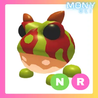 ORNATE HORNED FROG NR