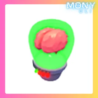 BRAIN JAR