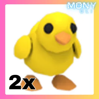 2X CHICK 