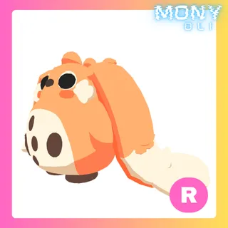 R CABBIT 