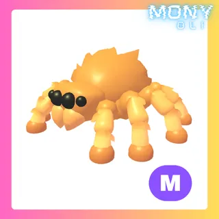 MEGA NEON JUMPING SPIDER