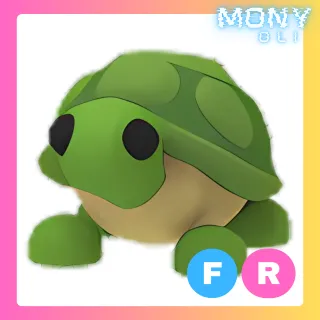TURTLE FR