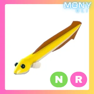 NR EEL 