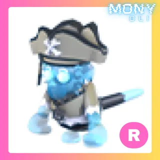 R PIRATE GHOST CAPUCHIN MONKEY 