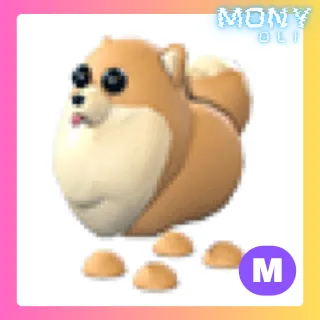 MEGA NEON POMERANIAN 