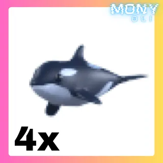 4X ORCA 