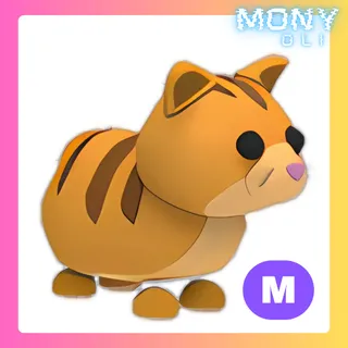 MEGA NEON GINGER CAT 