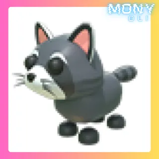 RACCOON