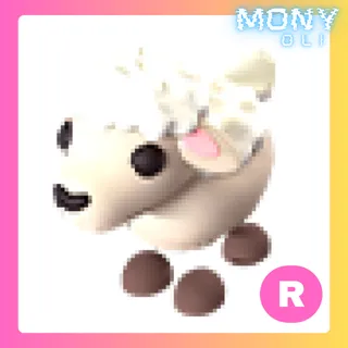 R LAMB