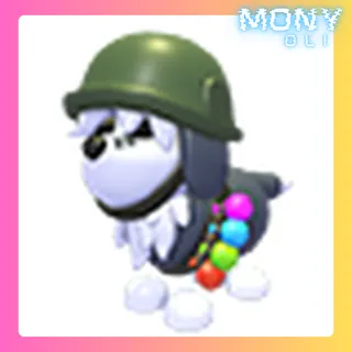 GENERAL SHEEPDOG