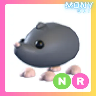 NR SADO MOLE