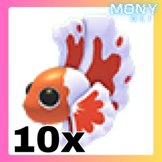 10X ORANGE BETTA FISH