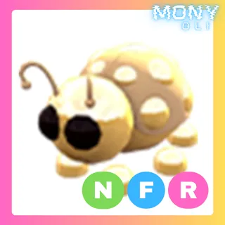 NFR GOLDEN LADYBUG 