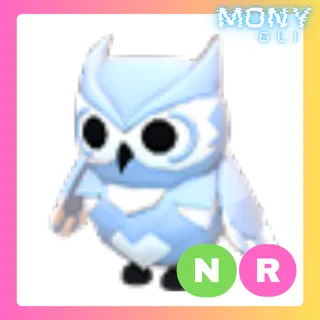 NR SNOW OWL