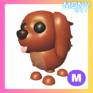 MEGA NEON IRISH SETTER