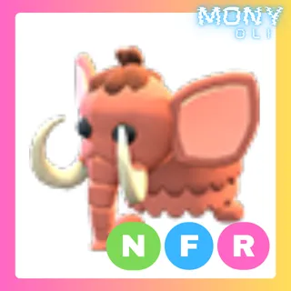 NFR WOOLLY MAMMOTH