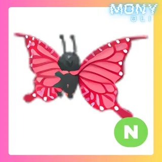 NEON 2021 UPLIFT BUTTERFLY 