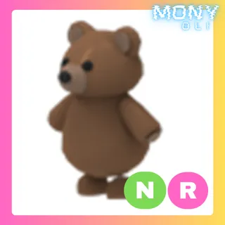 NR BROWN BEAR
