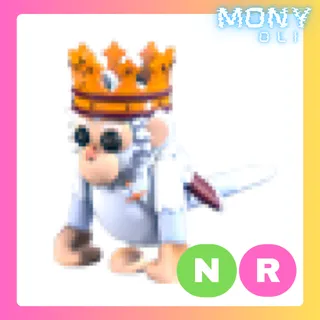 NR ROYAL CAPUCHIN MONKEY