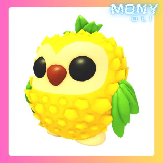 PINEAPPLE OWL