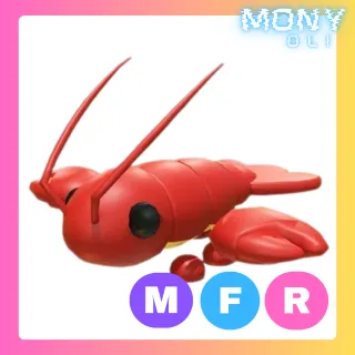 MFR LOBSTER 