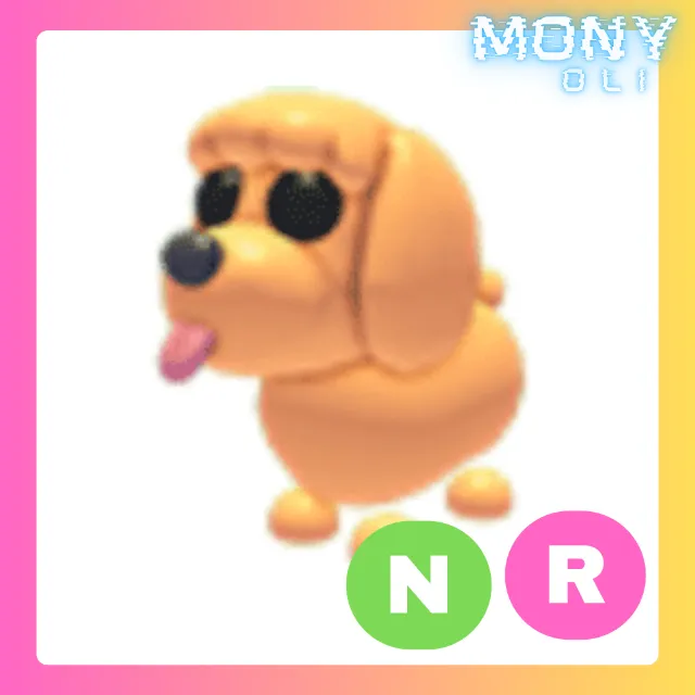 รายการภาพถ่าย