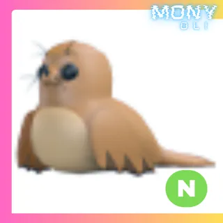 NEON GALAPAGOS SEA LION