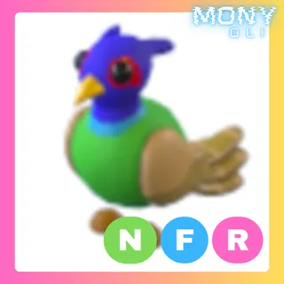 NFR GREEN-CHESTED PHEASANT