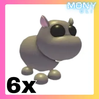 6X HIPPO