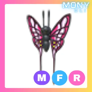 MFR 2022 Uplift Butterfly