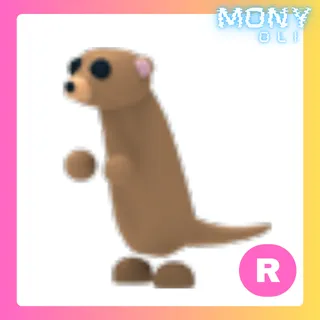 R MEERKAT 