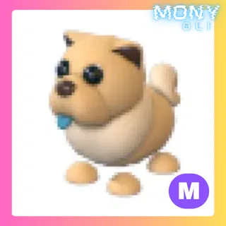 MEGA NEON TAN CHOW-CHOW 