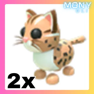 2X LEOPARD CAT