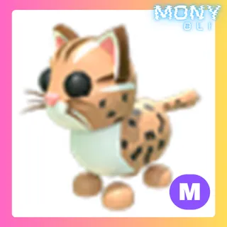 MEGA NEON LEOPARD CAT