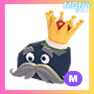 MEGA NEON OLD KING COAL