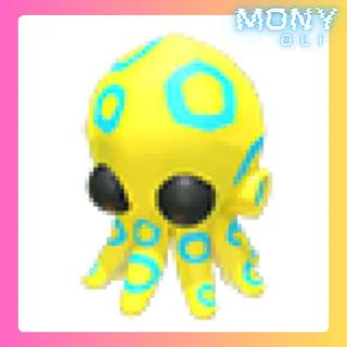 BLUE RINGED OCTOPUS