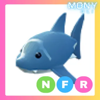 NFR SHARK