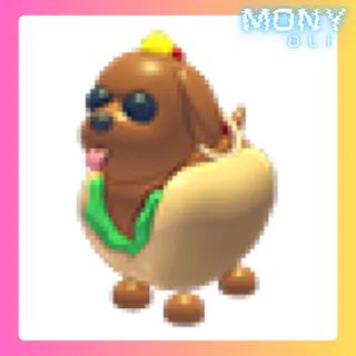 FR HOT DOGGO 