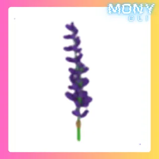 LAVENDER BUNDLE