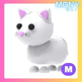 MEGA NEON SNOW CAT