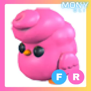 FR CANDYFLOSS CHICK 
