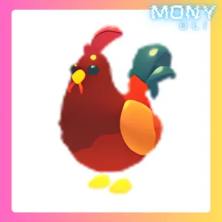 ROOSTER