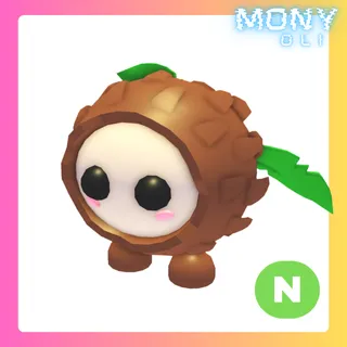 NEON COCONUT FRIEND