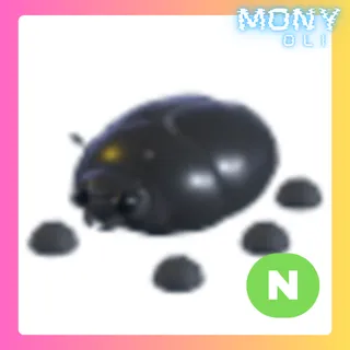 NEON GIANT BLACK SCARAB