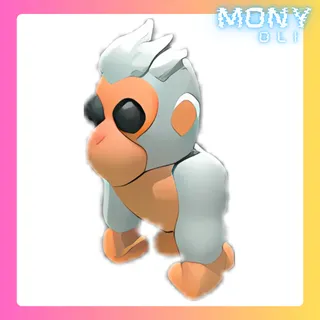 ALBINO GORILLA