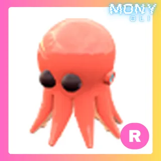 R OCTOPUS 
