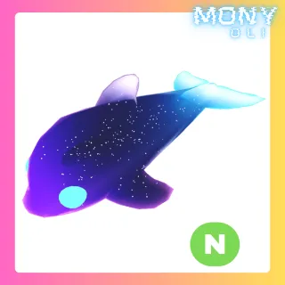NEON GLORMY DOLPHIN 