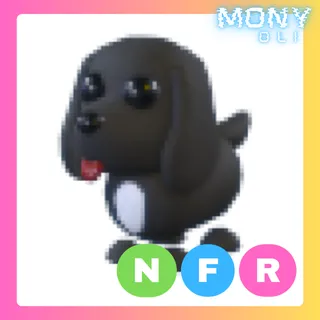 NFR ROYAL PALACE SPANIEL 