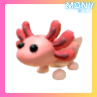 AXOLOTL